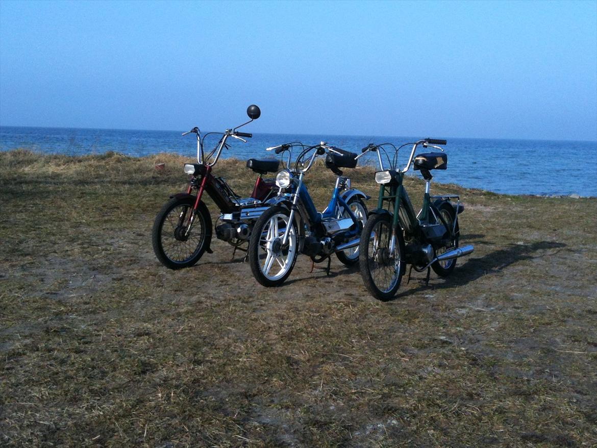 Puch Maxi k billede 17