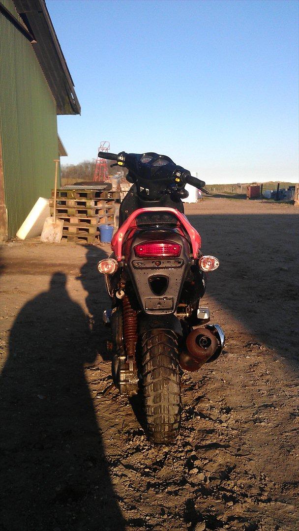 PGO Pmx Sport 05 billede 5