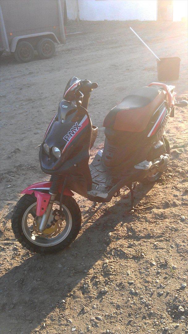 PGO Pmx Sport 05 billede 11