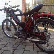 Puch Maxi KL 1981