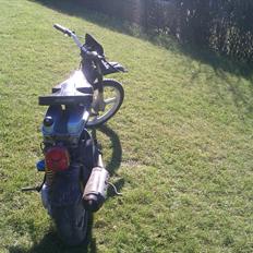 Piaggio Bravo Sprittern DØD 