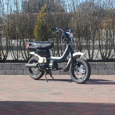 Suzuki Fz 50