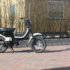 Suzuki Fz 50