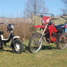Suzuki Fz 50