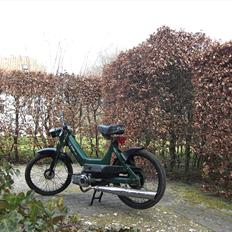 Puch Maxi K - Rotten - SOLGT