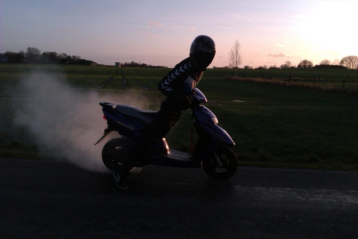 Honda Sfx Hverdagsged - Den kan godt;-) billede 9