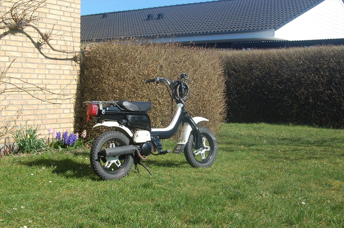 Suzuki Fz 50 billede 5