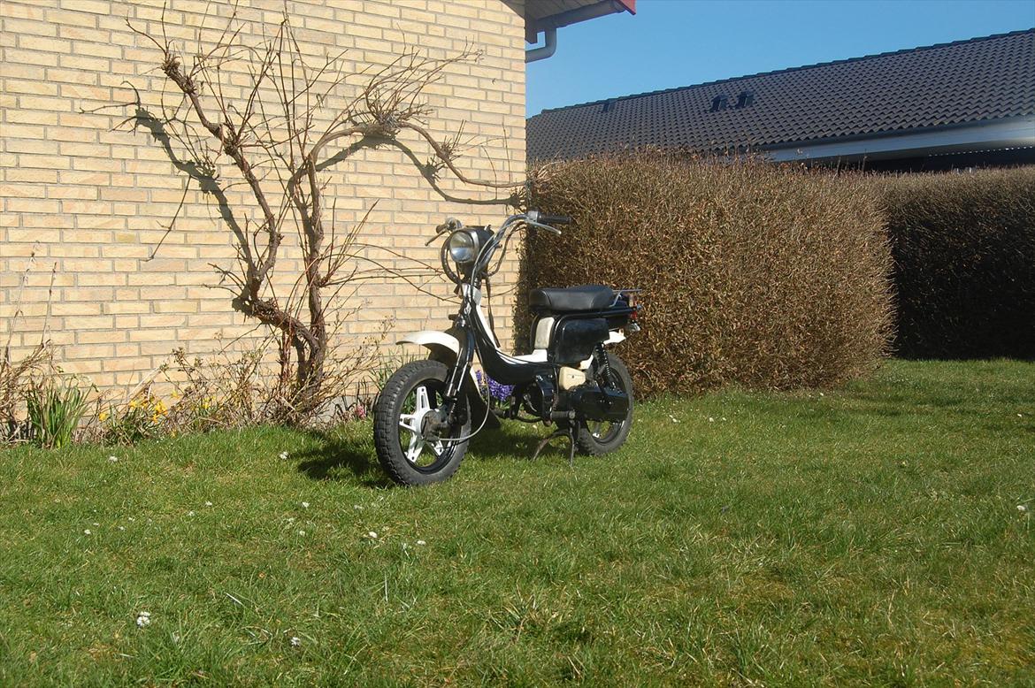 Suzuki Fz 50 billede 8