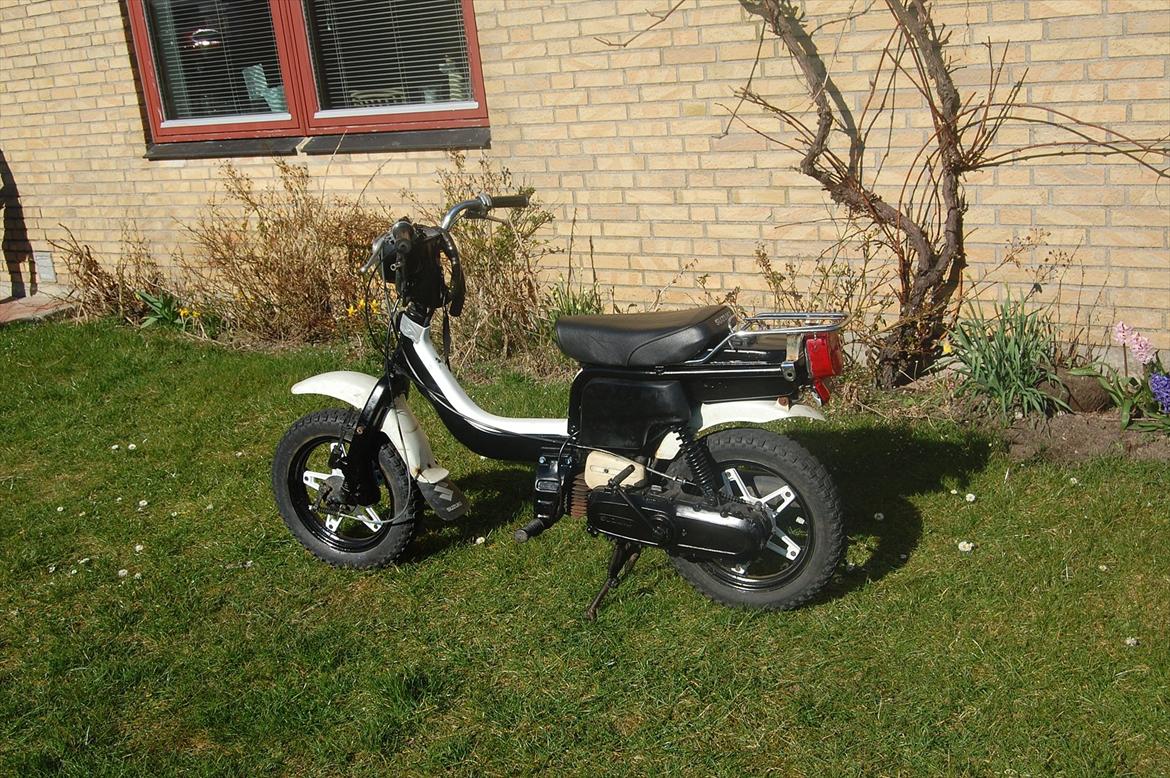 Suzuki Fz 50 billede 9