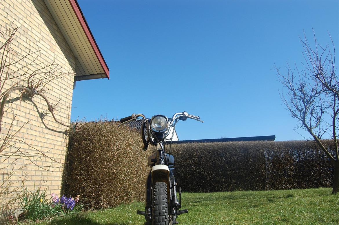 Suzuki Fz 50 billede 11