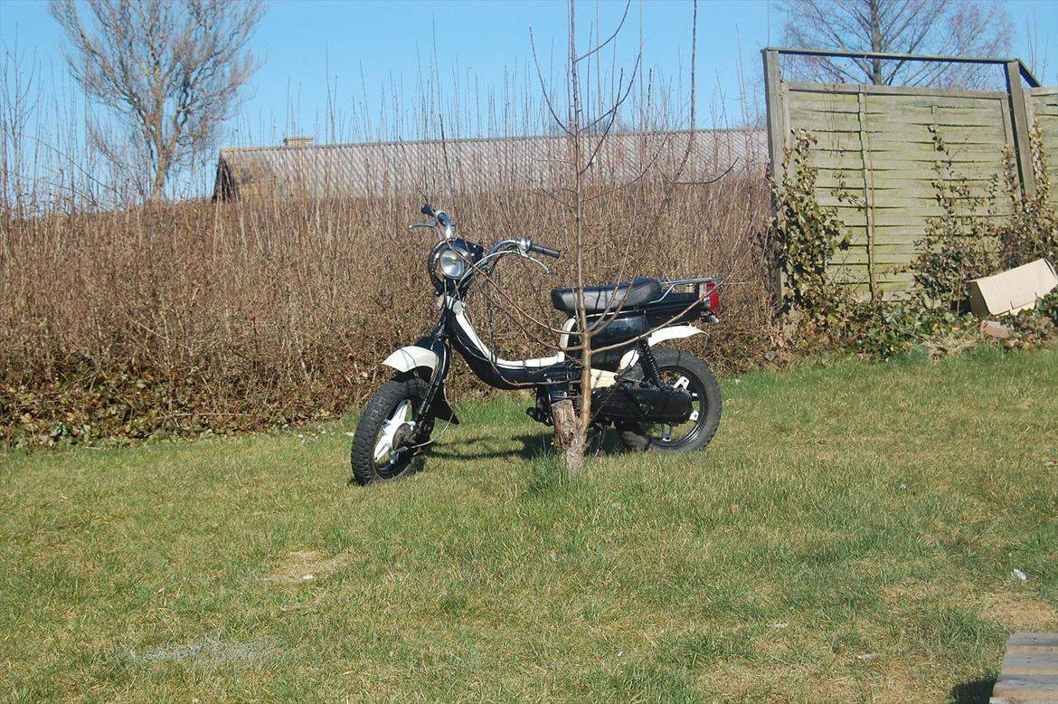 Suzuki Fz 50 billede 14