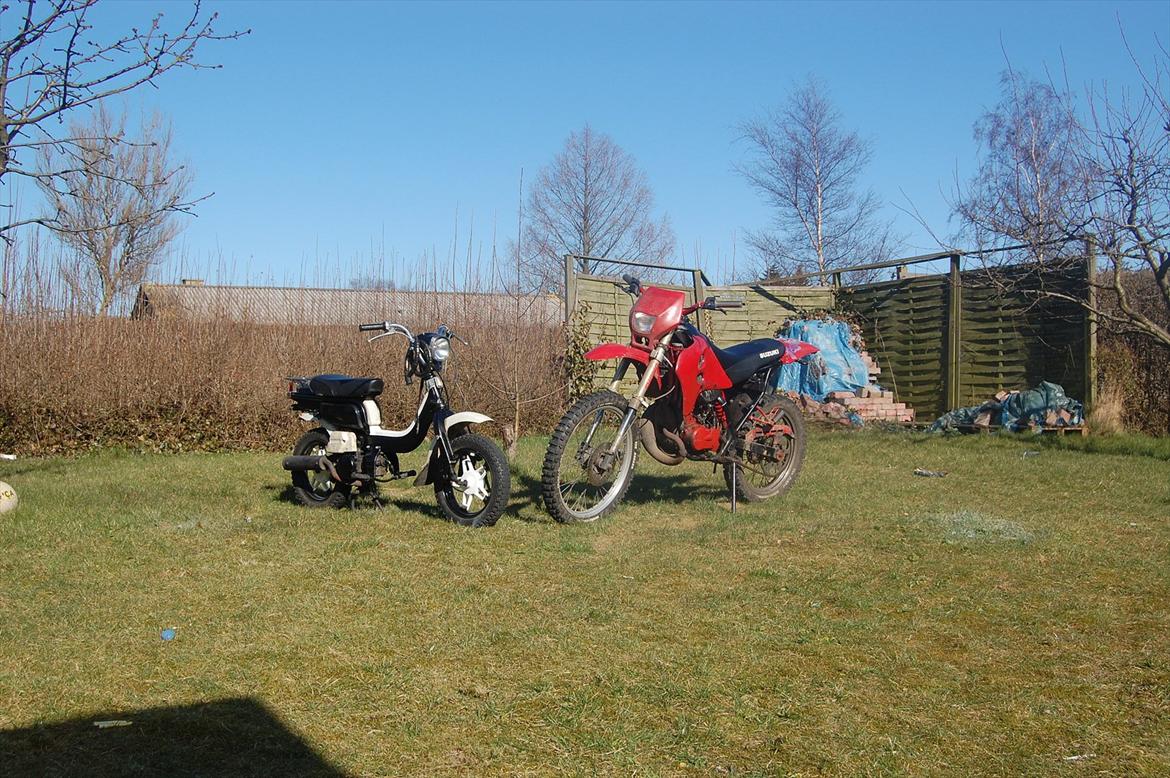 Suzuki Fz 50 billede 16