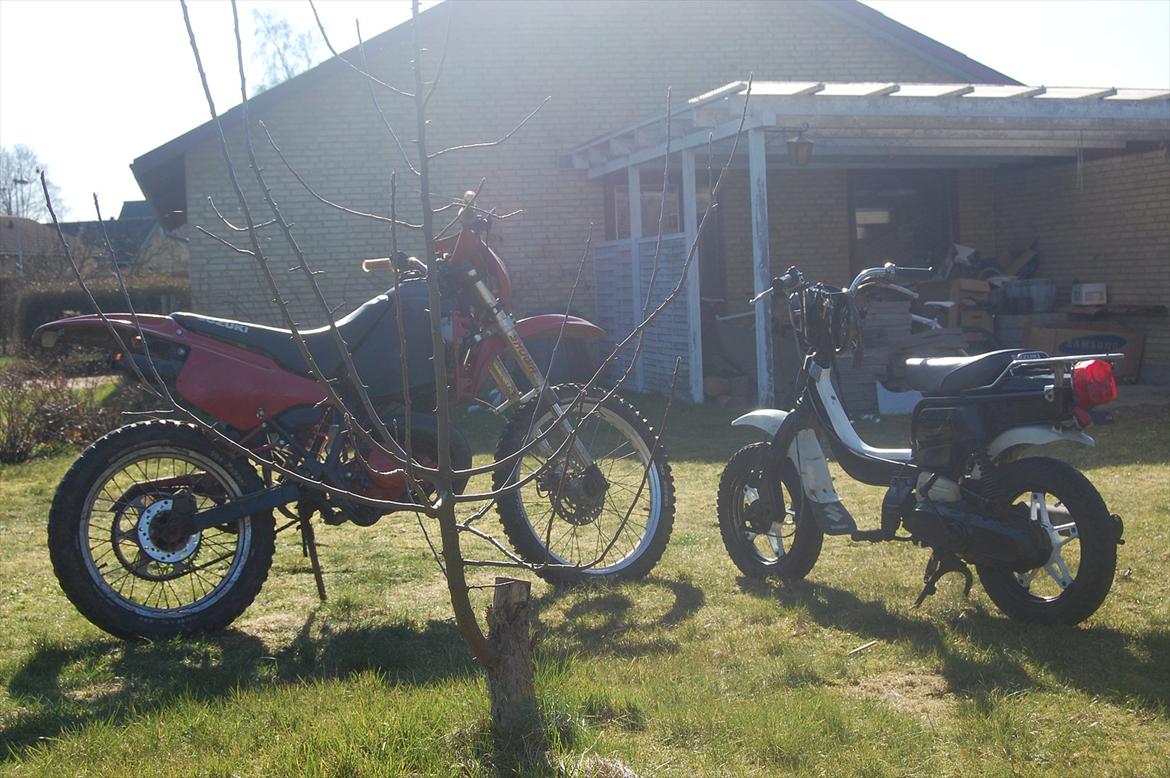 Suzuki Fz 50 billede 17
