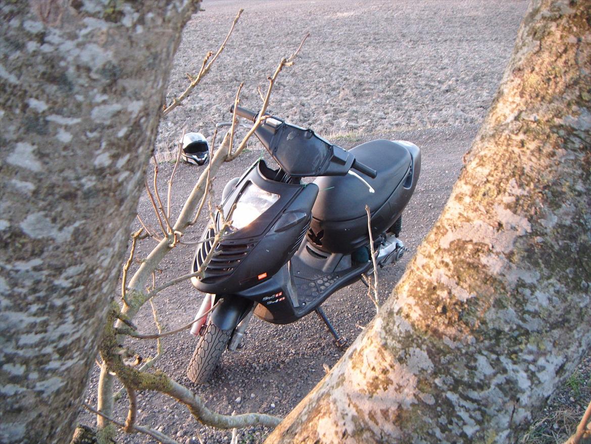 Aprilia Sonic AC Til salg - nu billeder 
 billede 1