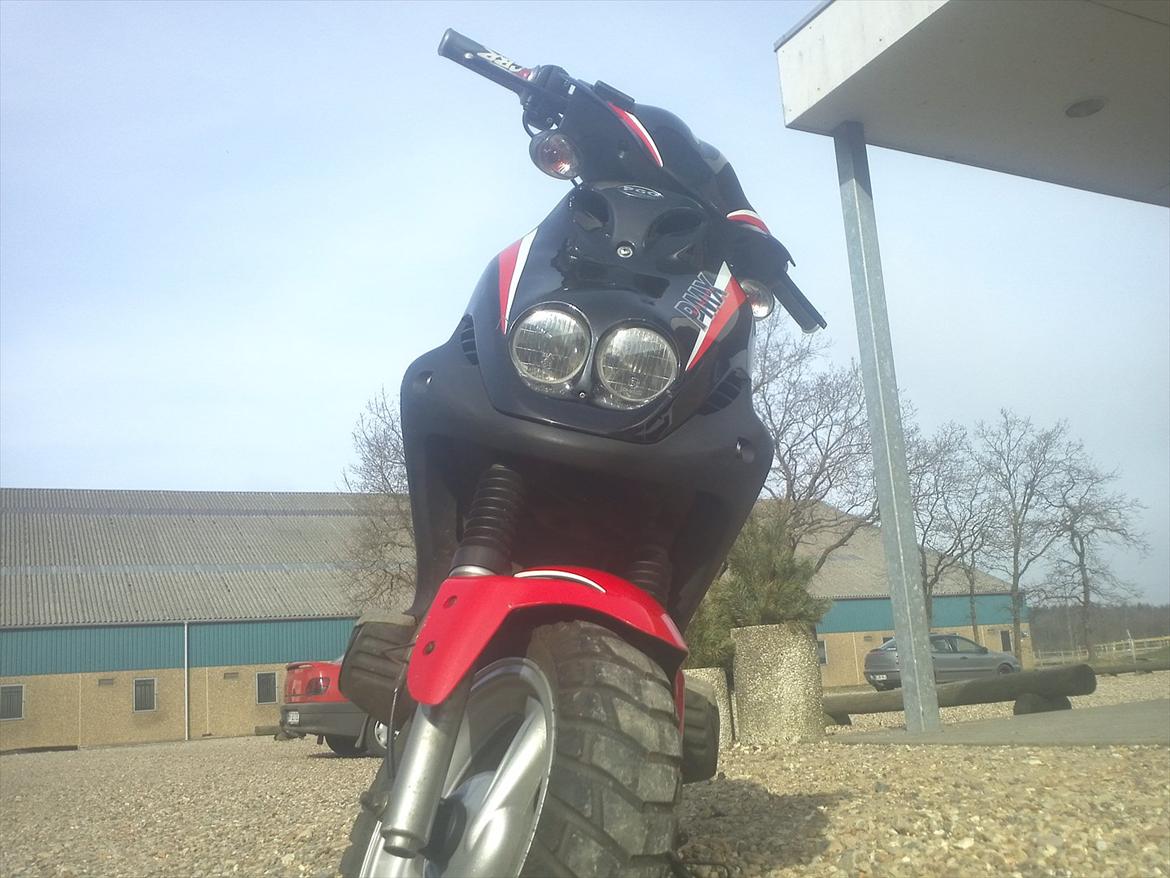 PGO PMX sport billede 1