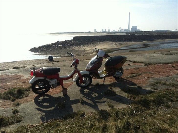 Suzuki FZ50 billede 3