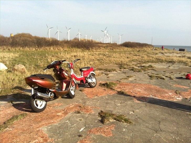 Suzuki FZ50 billede 4