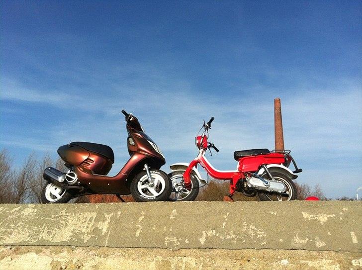 Suzuki FZ50 billede 7