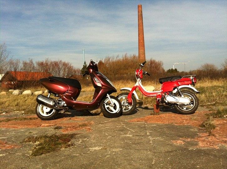 Suzuki FZ50 billede 8