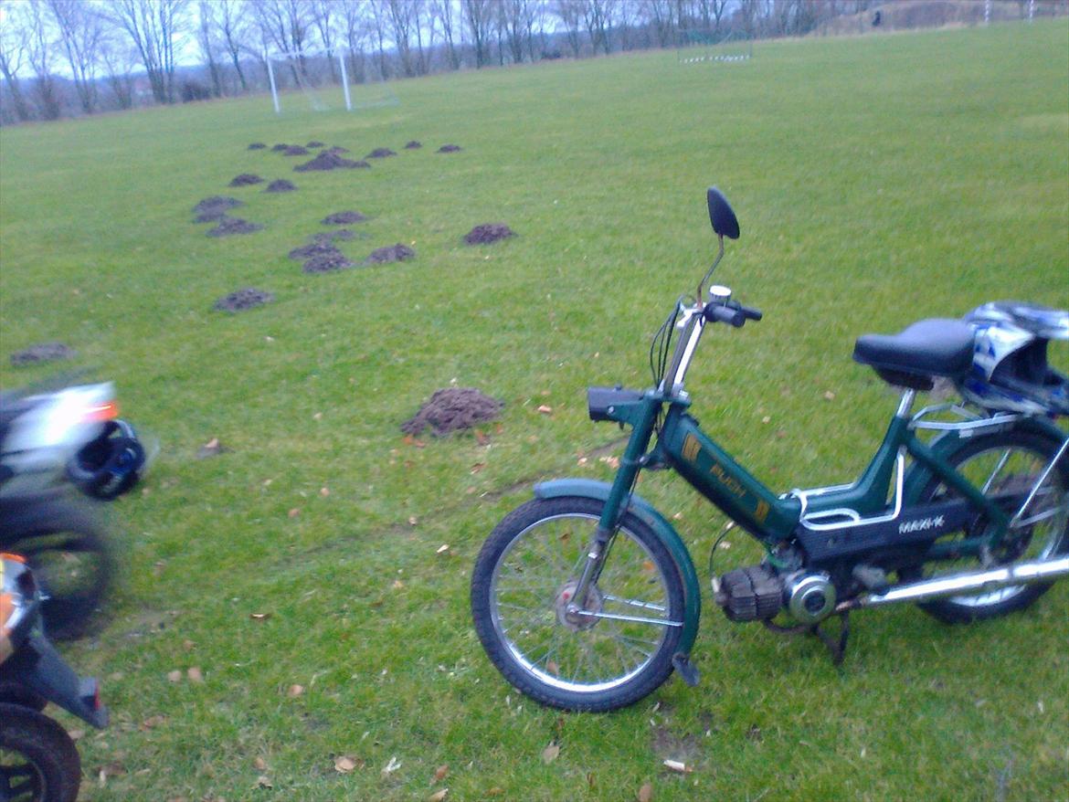 Puch maxi k E50 billede 12