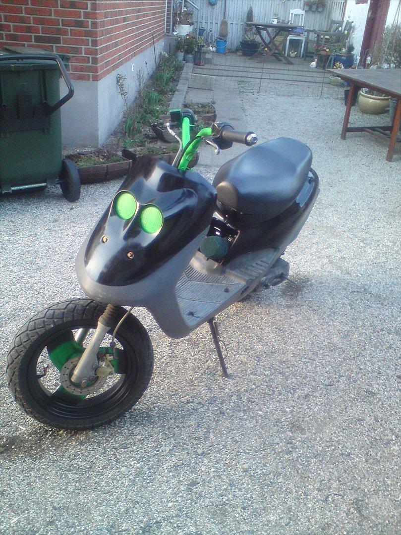 Adly cat 50 billede 1