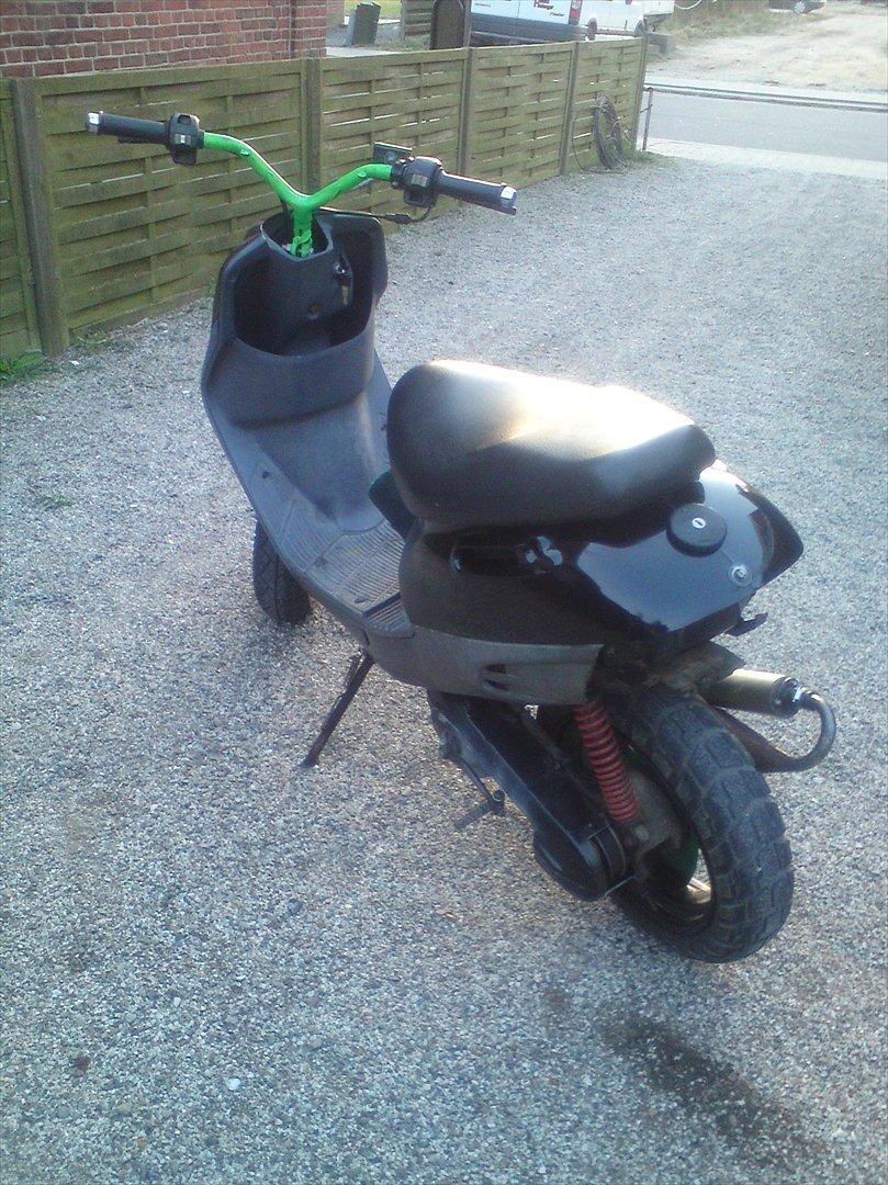 Adly cat 50 billede 2