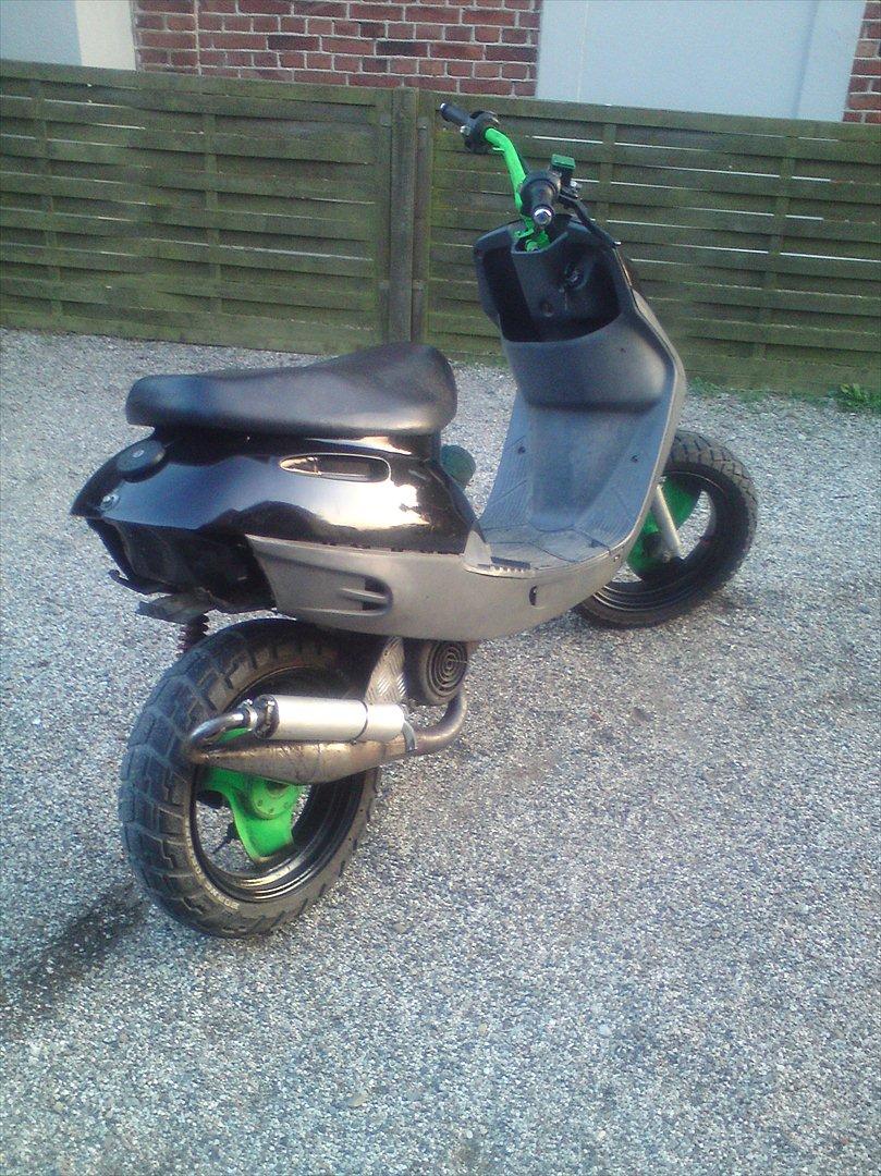 Adly cat 50 billede 3