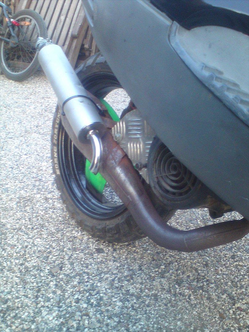 Adly cat 50 billede 5