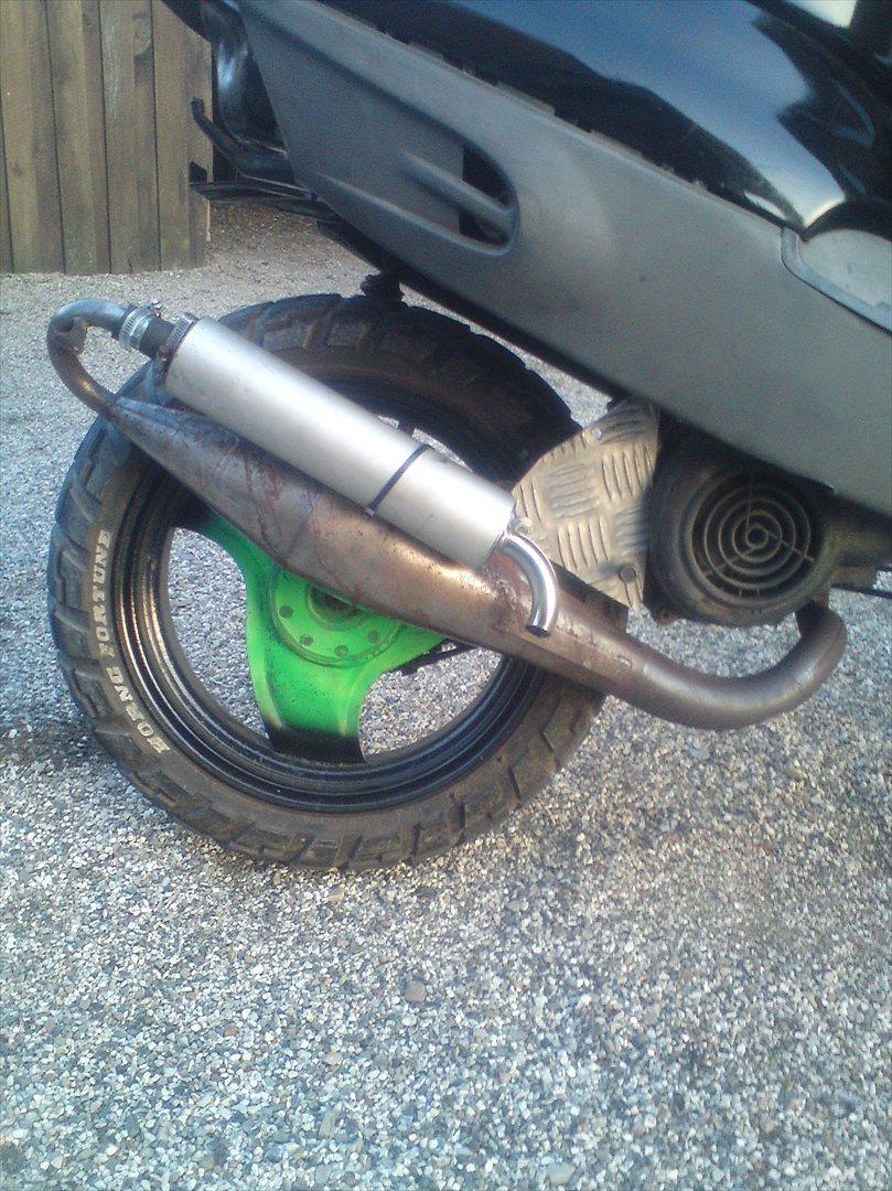 Adly cat 50 billede 6