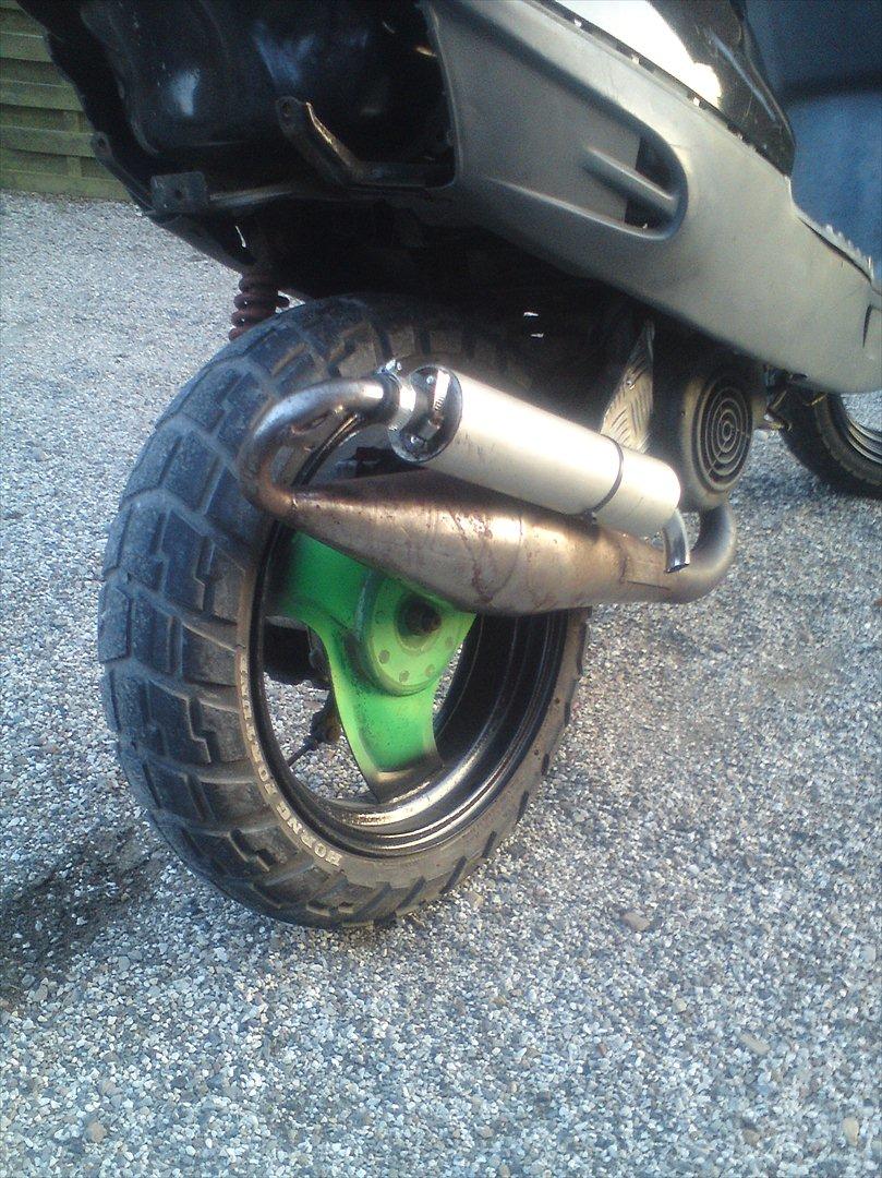 Adly cat 50 billede 7