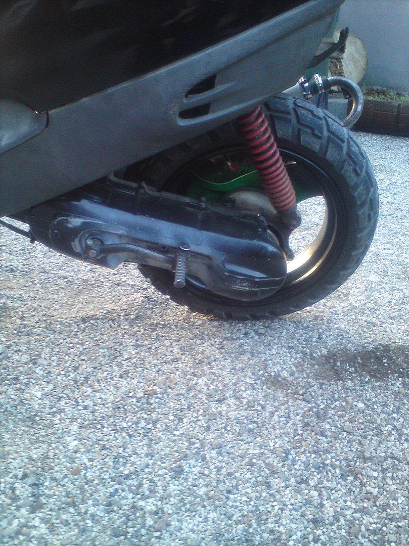 Adly cat 50 billede 9