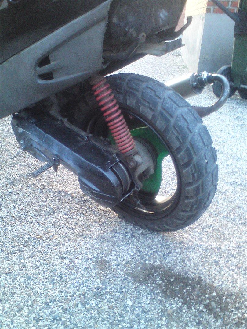 Adly cat 50 billede 10