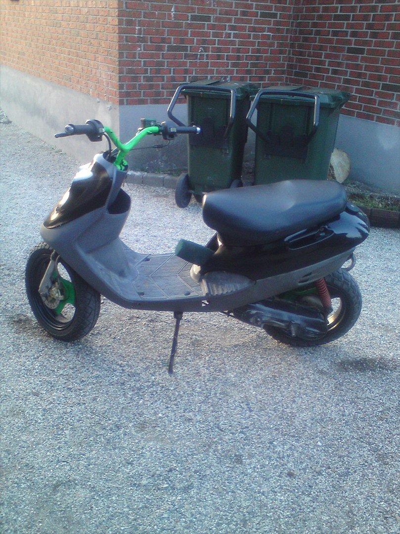 Adly cat 50 billede 12