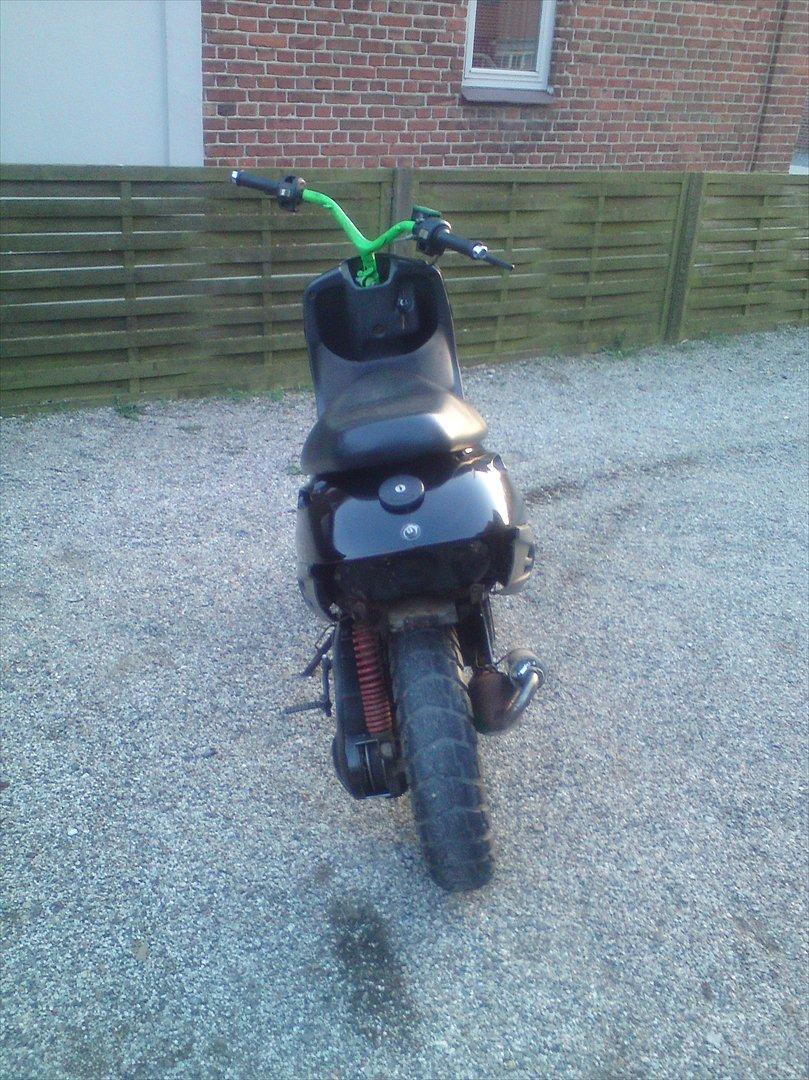 Adly cat 50 billede 13