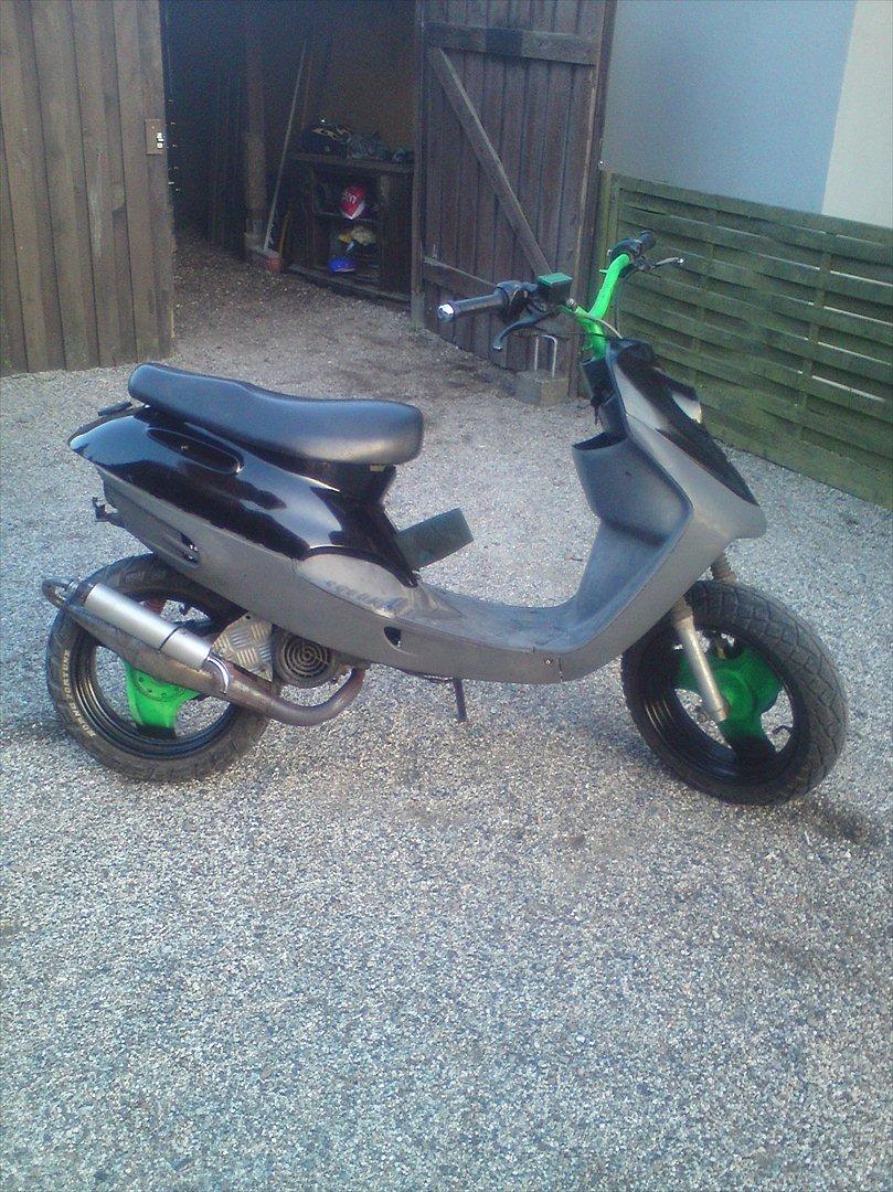 Adly cat 50 billede 14