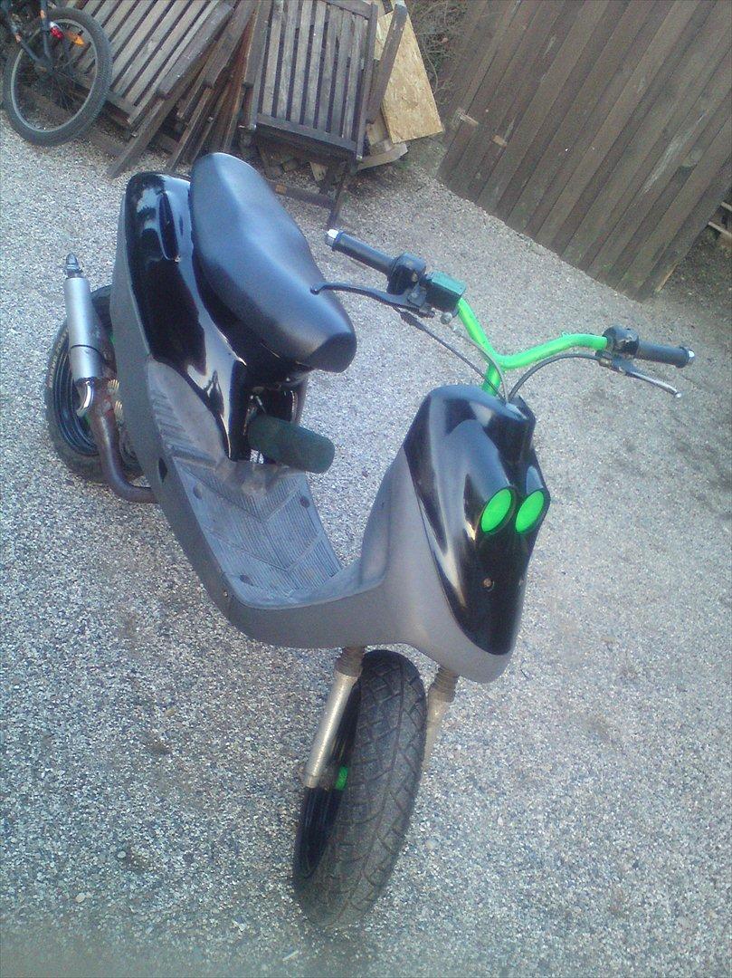 Adly cat 50 billede 15