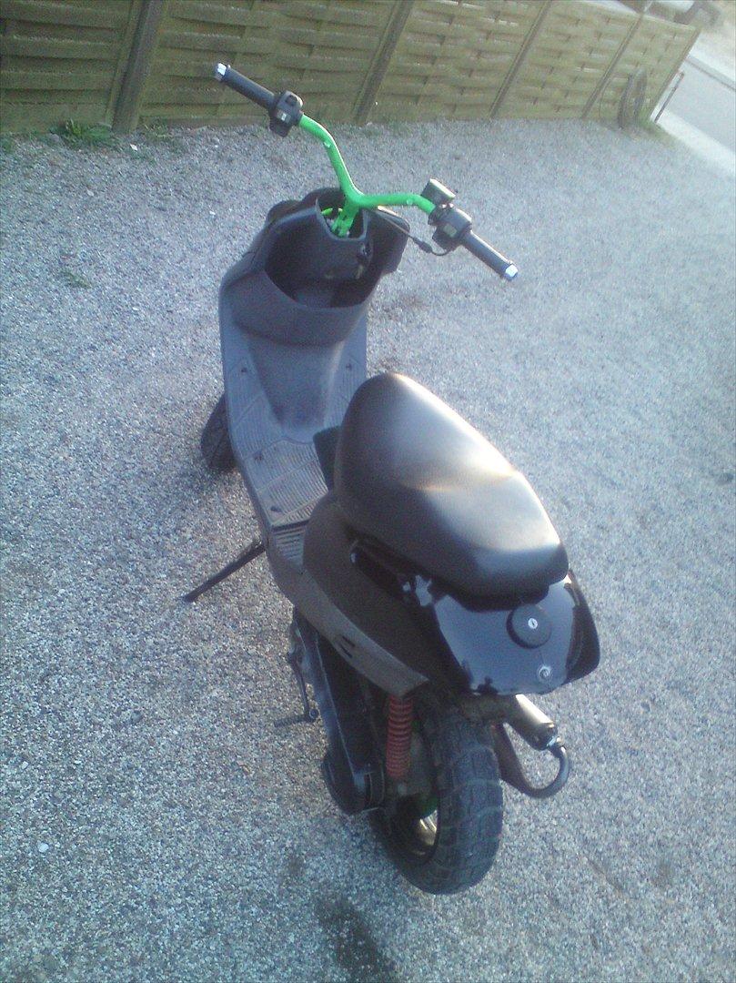 Adly cat 50 billede 16