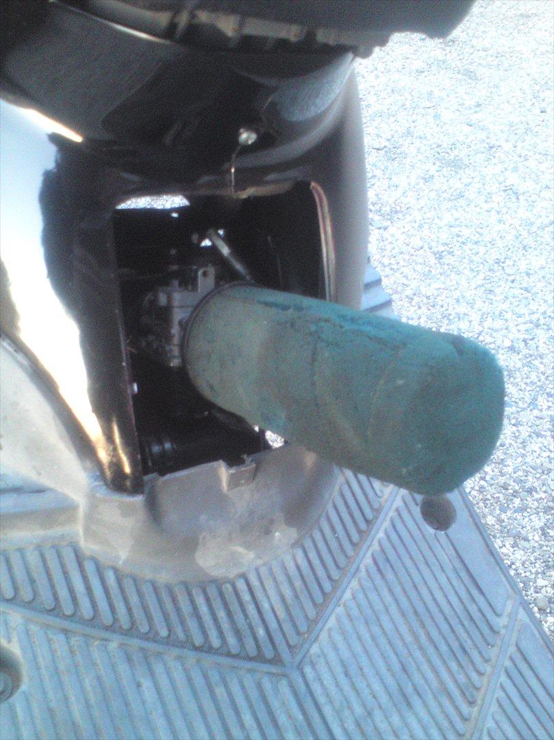 Adly cat 50 billede 17