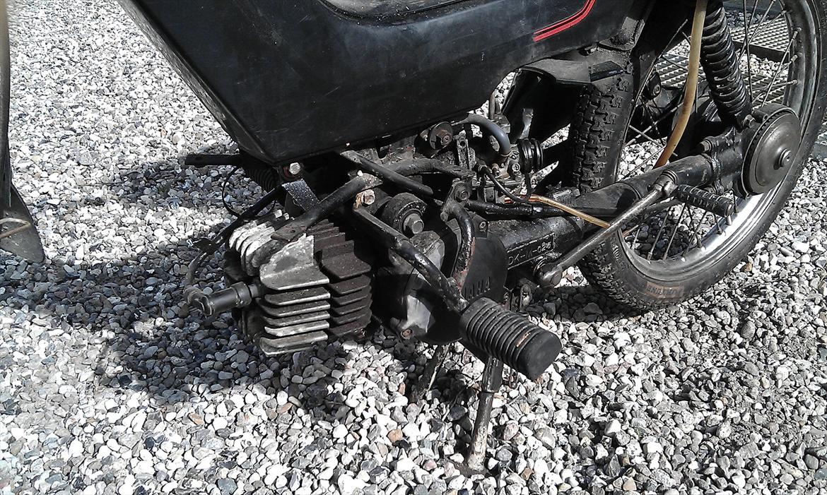 Yamaha sting billede 6