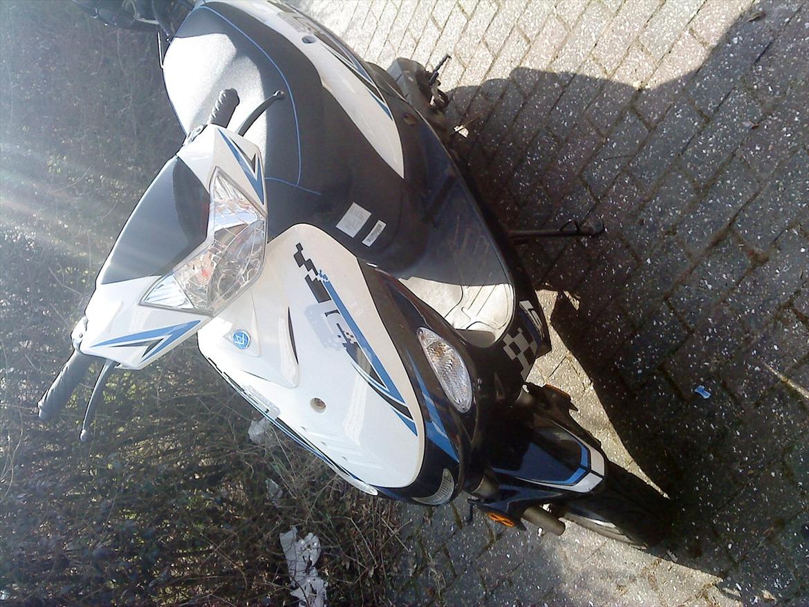 VGA Digita 51 billede 1