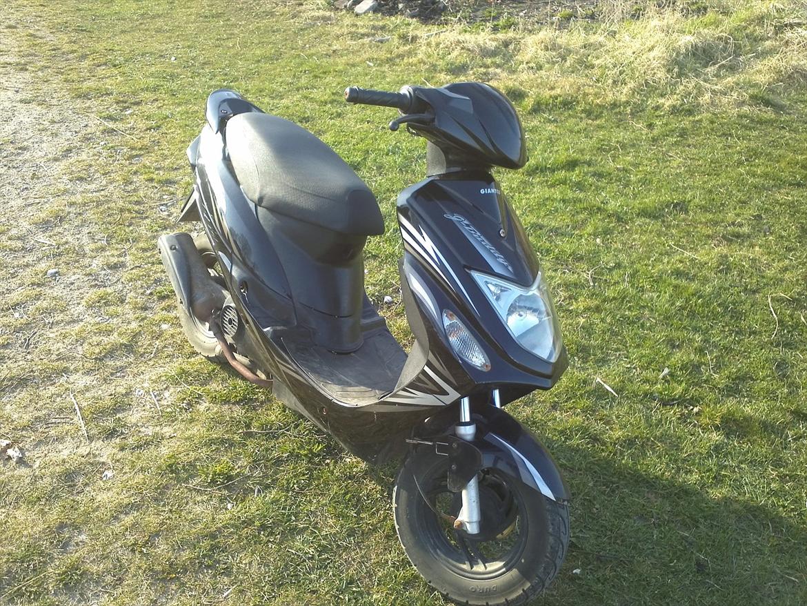 Giantco g-buddy (solgt) billede 1