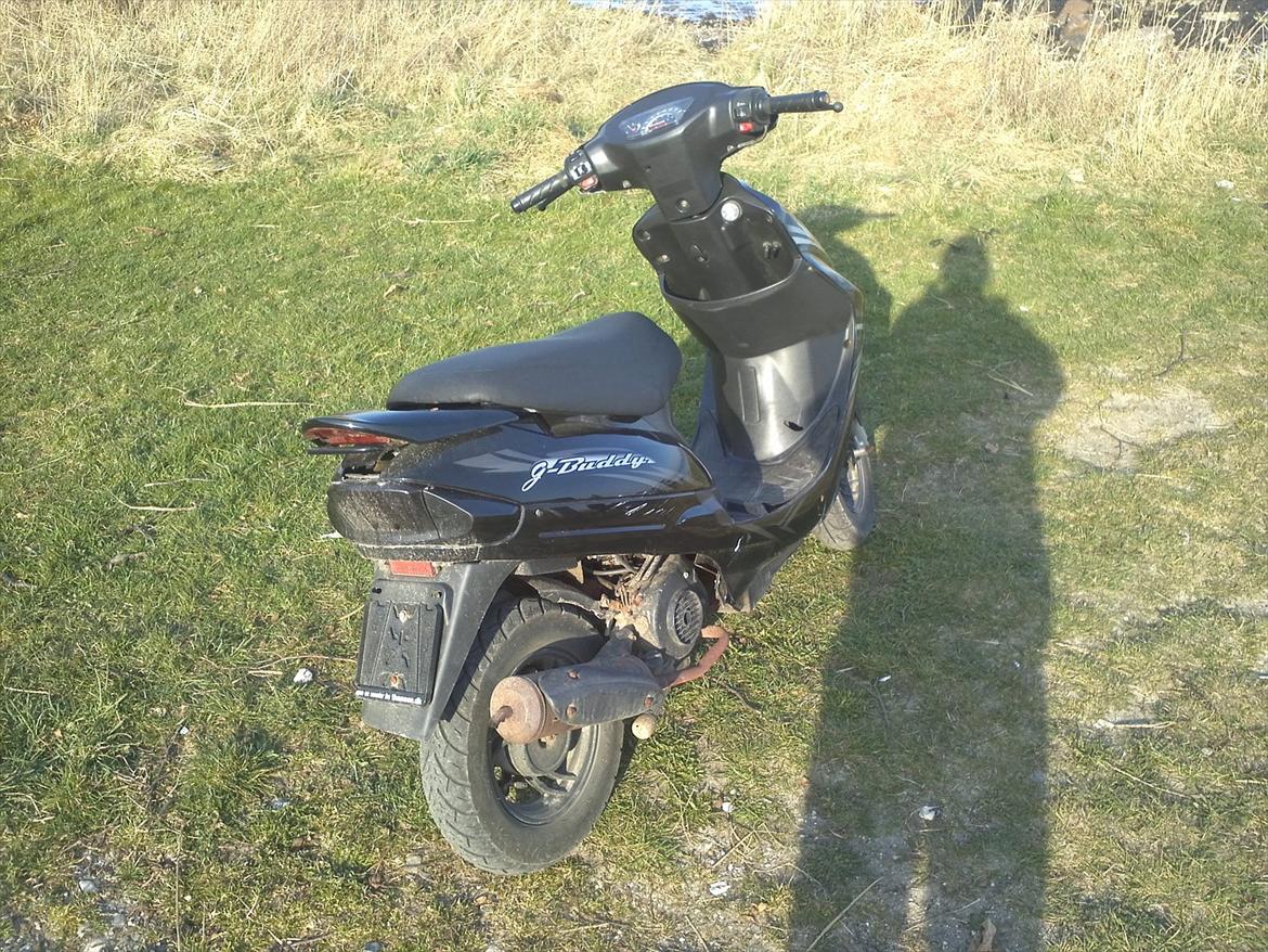 Giantco g-buddy (solgt) billede 5