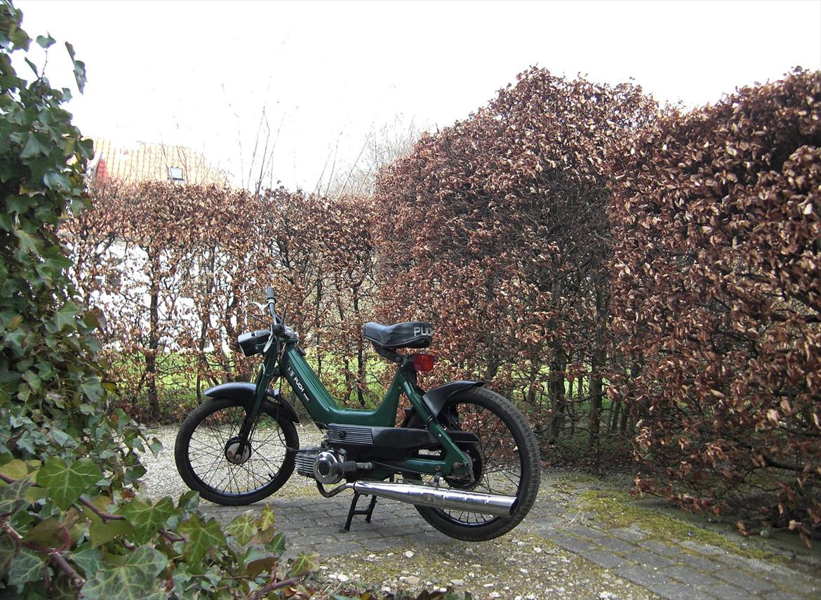 Puch Maxi K - Rotten - SOLGT billede 3