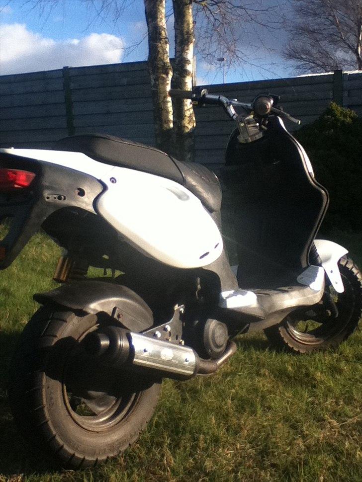 PGO PMX Naked billede 2