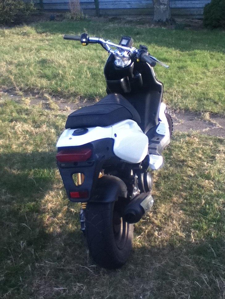 PGO PMX Naked billede 3