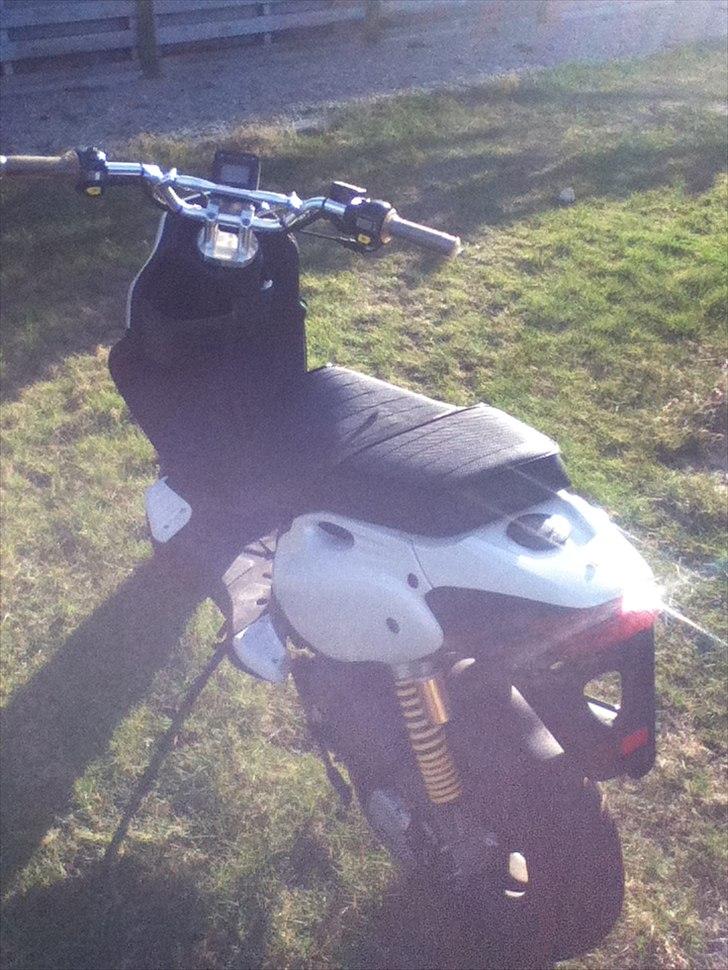 PGO PMX Naked billede 5