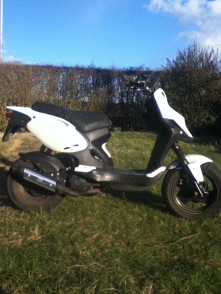 PGO PMX Naked billede 8