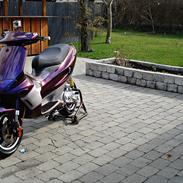 Gilera Runner EVO III LC