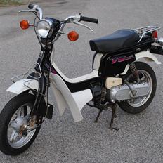 Suzuki Fz50