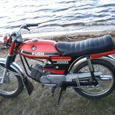 Puch MONZA 4gear 
